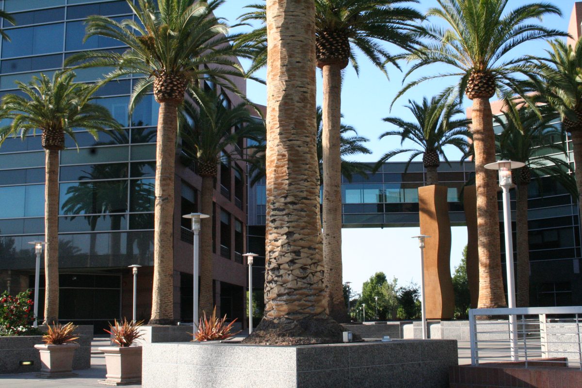 Google campus in Mountain View California with palm trees