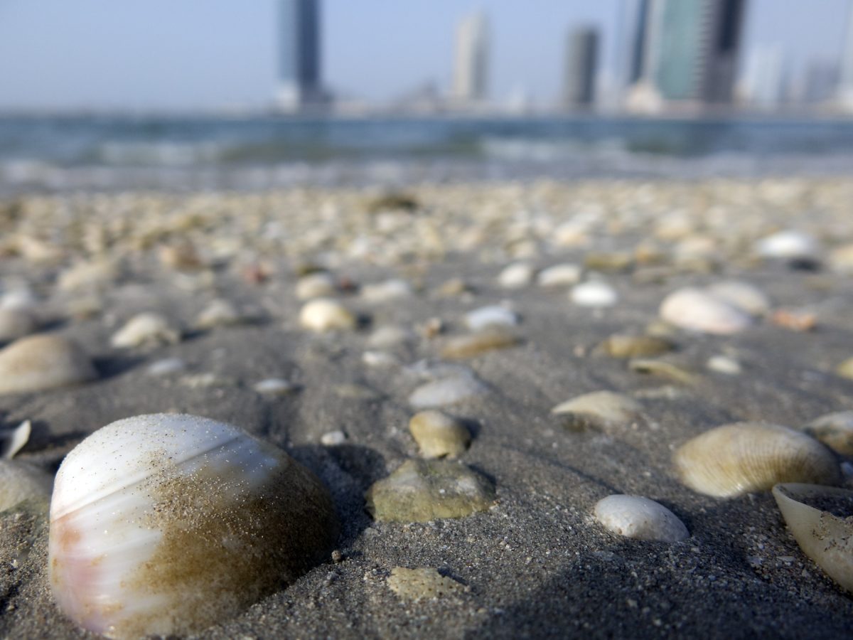 The Persian Gulf, through which Iranian oil tankers resumed transit in June 2026 after a US sanctions waiver