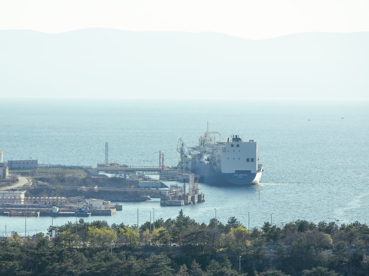 Oil tanker and gas tanker cargo ships on the high sea