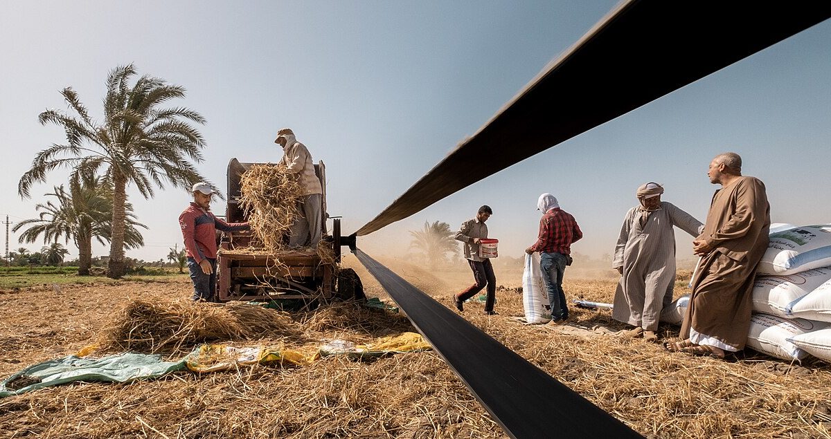 Combine harvester working a wheat field during harvest season, as grain prices surge to multi-year highs