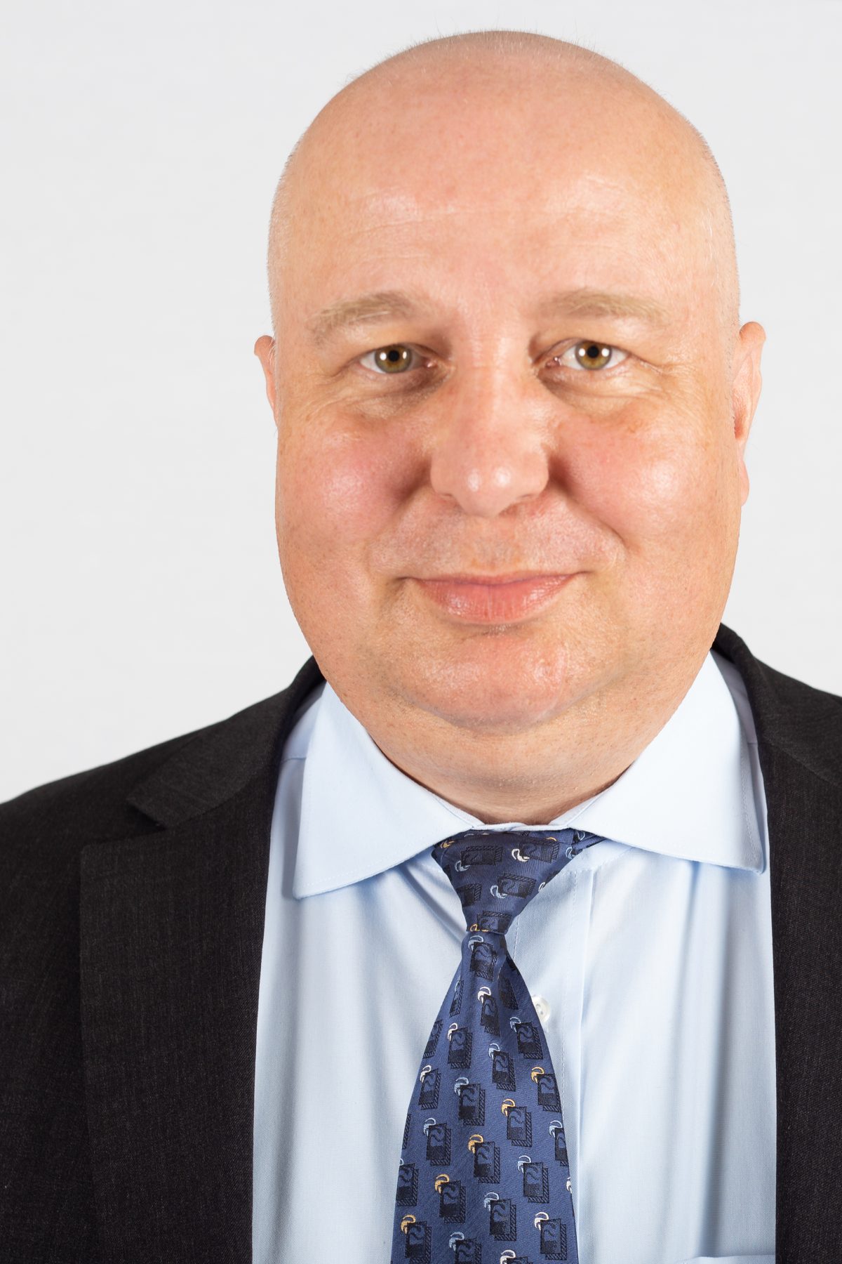 Member of the Saxony-Anhalt state parliament, Germany